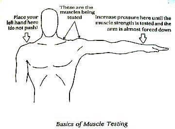 Muscle testing